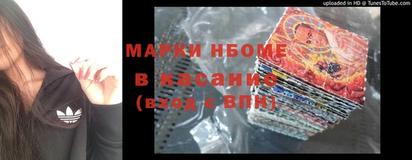 Альфа ПВП Аркадак