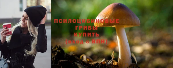 спиды Армянск