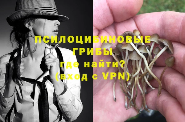 Альфа ПВП Аркадак