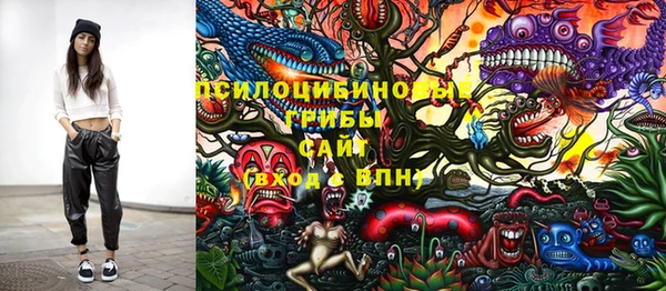 спиды Армянск